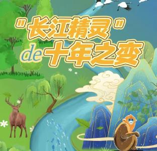 H5 | 快来围观，“长江精灵”的十年之变