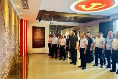 当阳法院开展联合“主题党日”