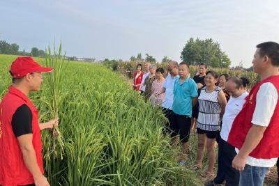 【精神文明创建活动宣传阐释·文明实践】 清平河村开展“农技科普进田间”志愿服务活动