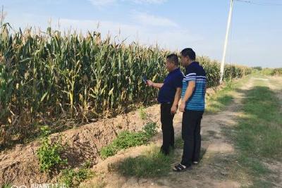 市自然资源和规划局：即日起，当阳市楚湖村耕地有了“身份证”护体