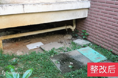 国网当阳市供电公司清理小区架空层 一起“十不见”