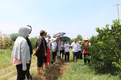 【精神文明创建活动宣传阐释·文明实践】王店镇泉河村新时代文明实践站开展“抗旱保柑”科普活动