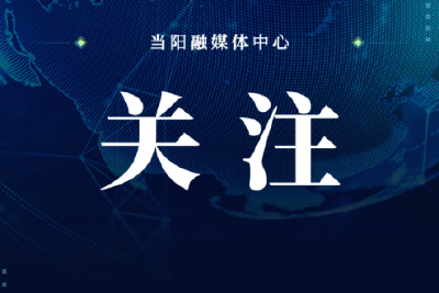 市委第二巡察组向市残联反馈巡察意见