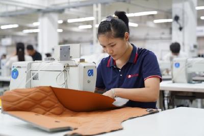 【干好每一天 喜迎二十大】两河镇：30天签约到投产 “当阳速度”助力企业发展