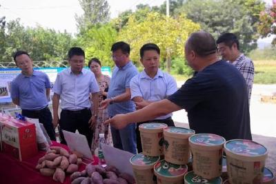 省科技厅农村处副处长陈军云来当调研