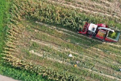 【下基层、察民情、解民忧、暖民心】庙前镇：创新服务助增收 精准解忧暖民心