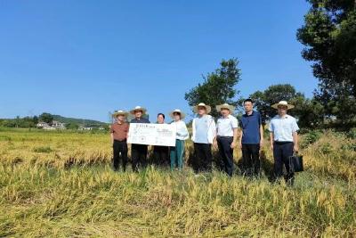 人保财险宜昌市分公司赴王店镇为群众进行抗旱受灾赔付