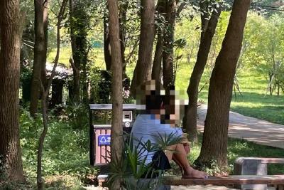 【文明旅游】曝光！旅游中的不文明行为