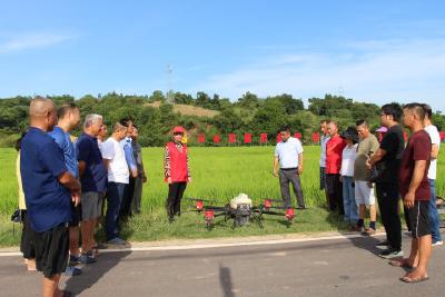 【精神文明创建活动宣传阐释·文明实践】望城村新时代文明实践站线上线下同步开展水稻病虫害防治科普活动