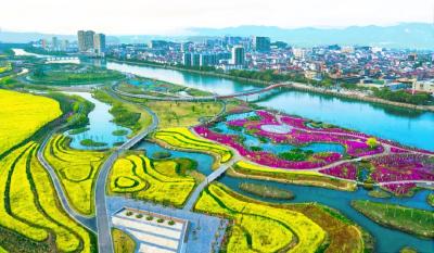 【数家珍】到远安，寻找妈妈的味道……