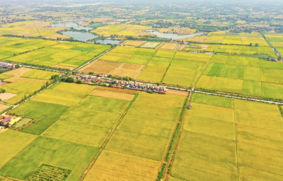 这“丰”景，太美了！🤗🤗🤗