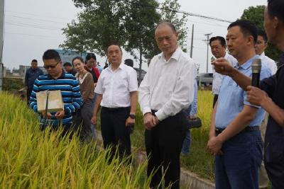 【人大在线】宜昌市人大常委会到我市开展《农业技术推广法》执法检查