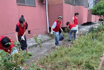 【下基层、察民情、解民忧、暖民心】市中医医院深入包联小区开展环境卫生整治