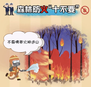 森林防火“十不要”，请记牢！