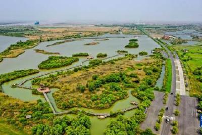 【好好学‘习’】复兴之路 真理之光——深刻领悟习近平新时代中国特色社会主义思想实现马克思主义中国化新的飞跃