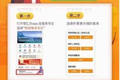 市政务服务和大数据管理局开展“鄂汇办”APP宣传工作