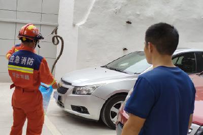 市交通运输局：除蛇保平安 小区共建管