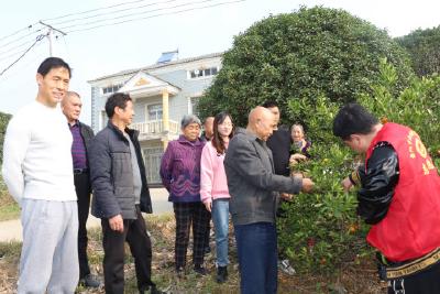 【精神文明创建活动宣传阐释·文明实践】王店镇新时代文明站（所）线上线下开展科普宣传活动