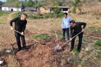 学习党的二十大精神 帮扶再加力