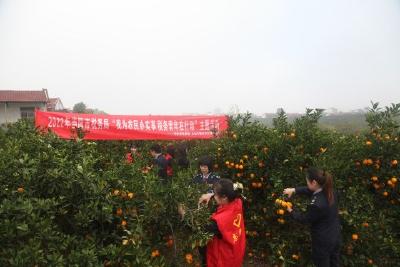 【宣传阐释社会主义核心价值观】我为农民办实事 税务青年在行动