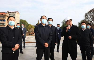 王立在当阳调研：积极探索新模式新路径 努力让人民群众住有所居职住平衡