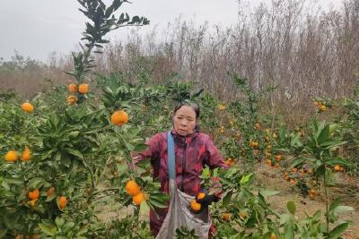【宜昌好人·陈圣菊】长嫂如母 照顾残疾小叔子一家35年