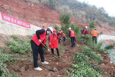 【精神文明创建活动宣传阐释·文明创建】宜昌市生态环境局当阳市分局开展秋季植树活动