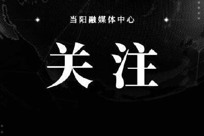 核酸机构造假如何监管？多地为何依旧层层加码？官方回应↓