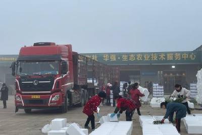 【下基层、察民情、解民忧、暖民心】市农业农村局助农拓销进行时