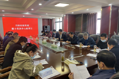 当阳法院迅速传达学习市第九次党代会精神