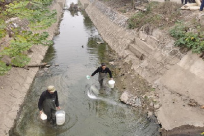 【精神文明创建活动宣传阐释·文明实践】 科学普及志愿服务队开展福寿螺防控志愿服务活动