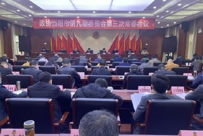 市政协召开九届三次常委会