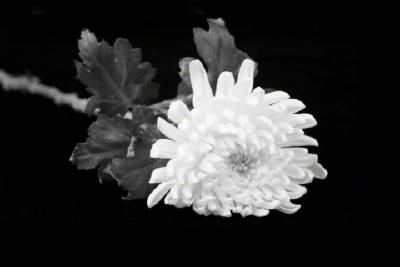 告全党全军全国各族人民书  江泽民同志在上海逝世享年96岁