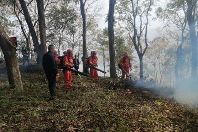 青龙湖国家湿地公园开展冬季森林防灭火知识培训和实战演练