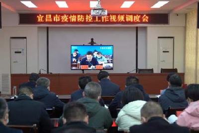 【宣传阐释社会主义核心价值观】我市组织收看宜昌市疫情防控视频调度会