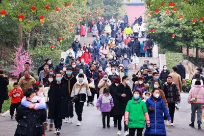 30.25万人次！当阳“热热热”！