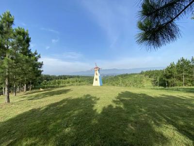 省级荣誉！宜昌市级表彰！