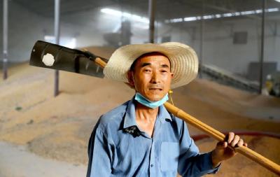 中共当阳市委、当阳市人民政府关于开展向“中国好人”陈廷海学习活动的决定