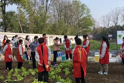 半月镇中心小学举行宜昌市劳动教育现场会