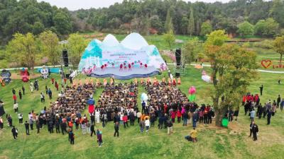 正式启动！现场推介！