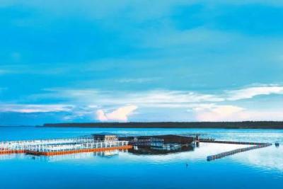 #这里是湖北#《光明日报》刊发著名作家刘醒龙美文《荆江十六玦》点赞荆州