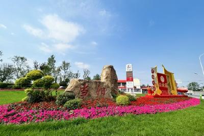 鲜花“上街” 扮“靓”当阳