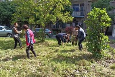 “除草护绿 美化家园”粮丰小区在行动