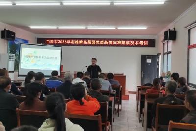 当阳开展柑橘精品果园优质高效栽培集成技术培训