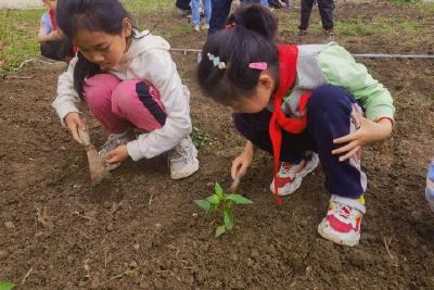 脚东小学开展“快乐劳动，幸福生活”主题实践活动