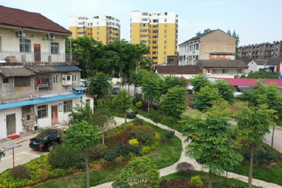 【奋进新征程 建功新时代】“小口袋”点亮“微幸福”