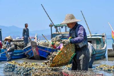 问计于民：中国地方治理提质增效的一把“钥匙”