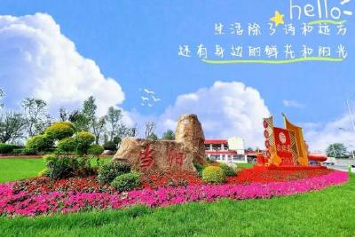 wow~当阳这面“网红花墙”在......