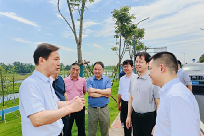 省水利厅来当调研