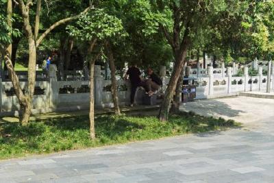 【文明旅游】走进景区，扒一扒旅游中的不文明行为